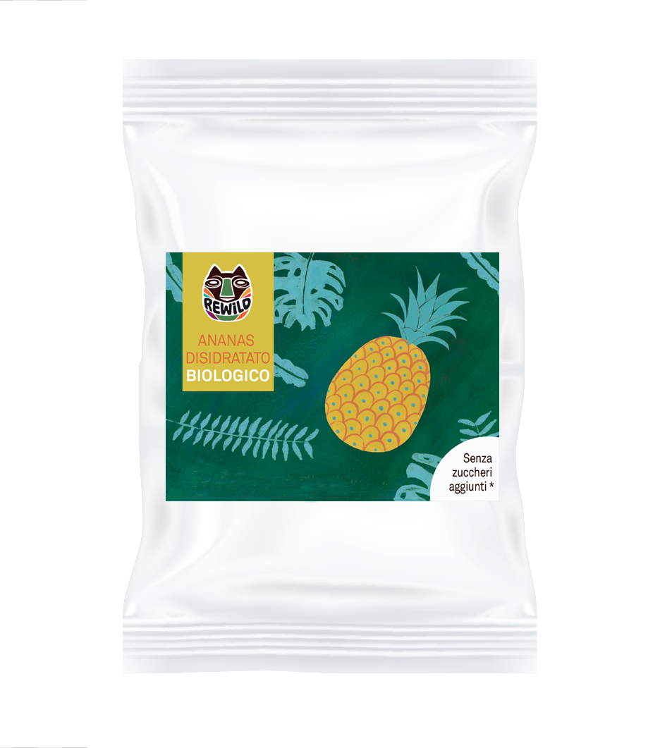ananas disidratato bio rewild
